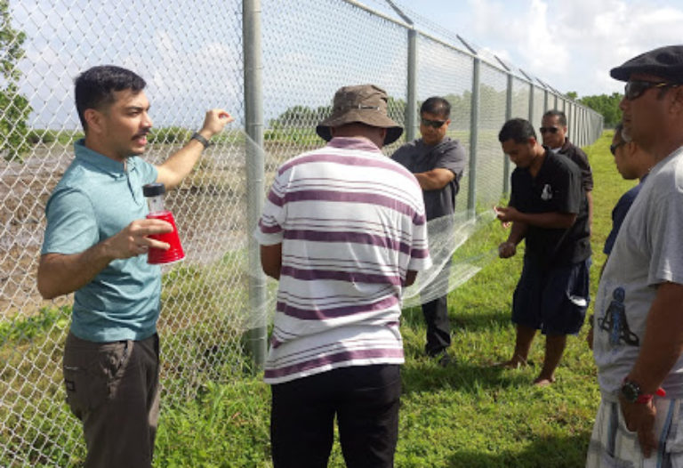Border Control and Resources Management Officers Held Invasive Coconut Rhinoceros Beetle Pest Training in Pohnpei