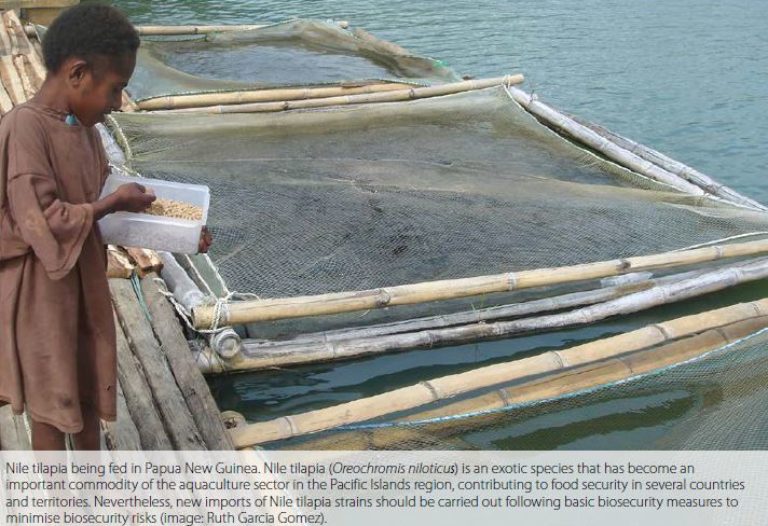 What is aquatic biosecurity, and what is its relevance for Pacific Islands region?